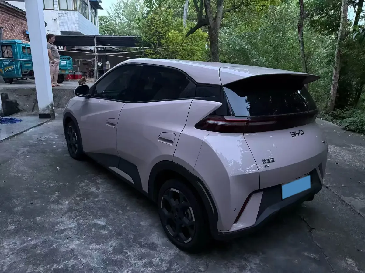2025 BYD Seagull BEV 30.08KWH,autocango,china used car exporter,china ev exporter,chinese used car exporter,chinese used ev exporter