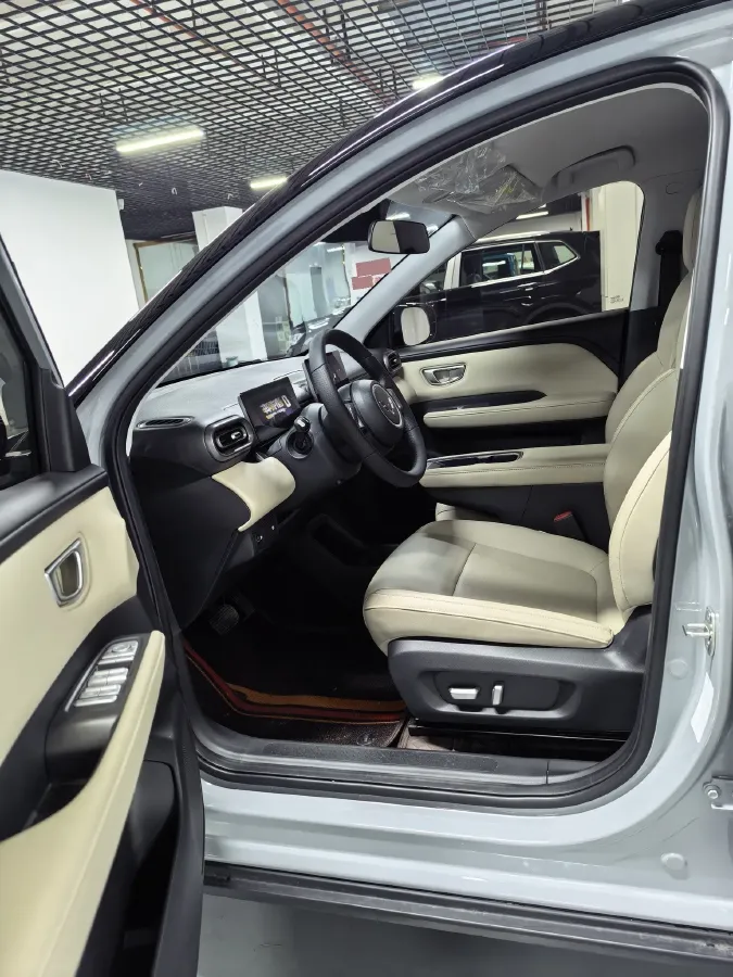 2024 WuLing BinGuoPLUS BEV 31.9KWH,autocango,china used car exporter,china ev exporter,chinese used car exporter,chinese used ev exporter