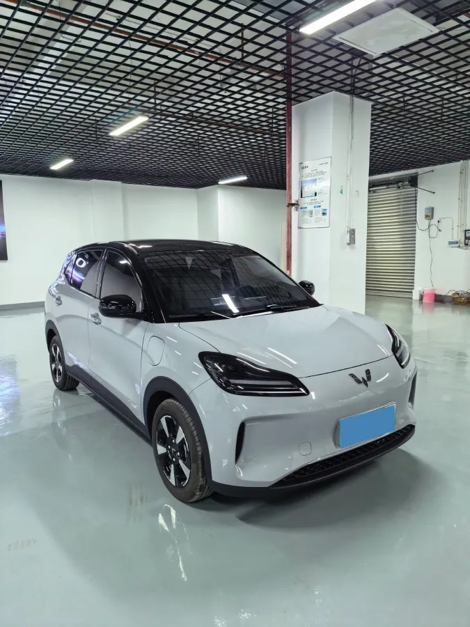2024 WuLing BinGuoPLUS BEV 31.9KWH,autocango,china used car exporter,china ev exporter,chinese used car exporter,chinese used ev exporter