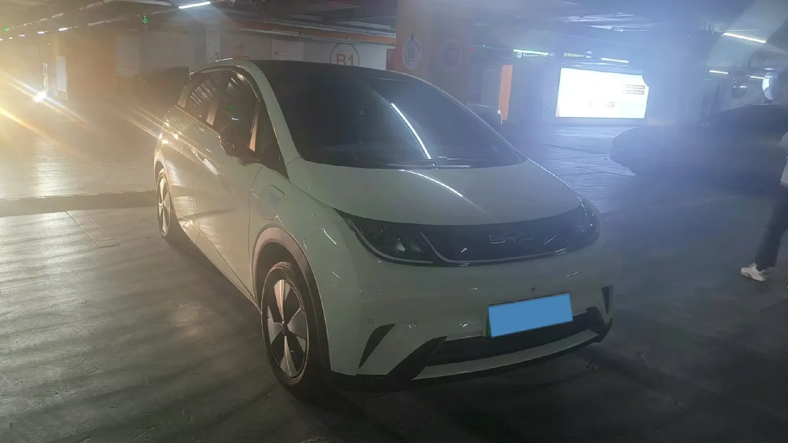 2023 BYD Dolphin BEV 44.928KWH,autocango,china used car exporter,china ev exporter,chinese used car exporter,chinese used ev exporter