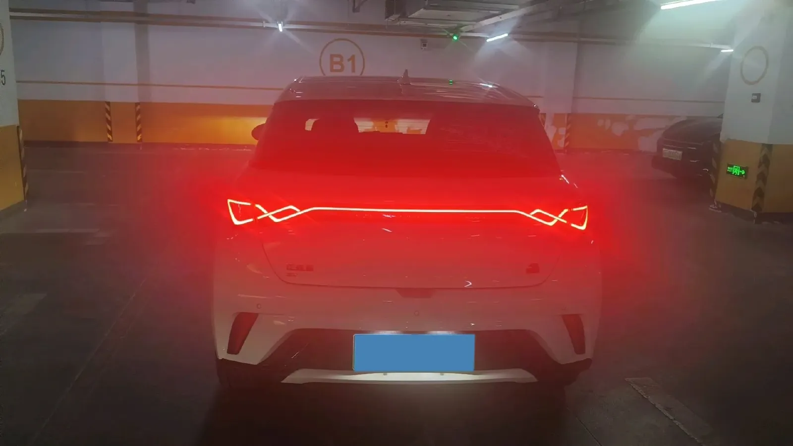 2023 BYD Dolphin BEV 44.928KWH,autocango,china used car exporter,china ev exporter,chinese used car exporter,chinese used ev exporter