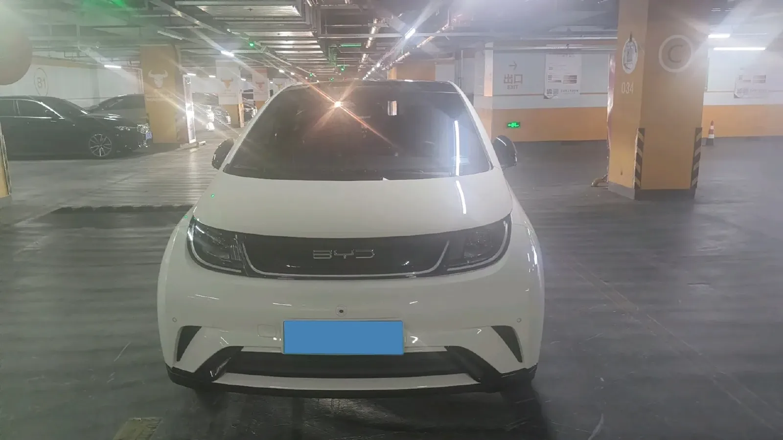 2023 BYD Dolphin BEV 44.928KWH,autocango,china used car exporter,china ev exporter,chinese used car exporter,chinese used ev exporter