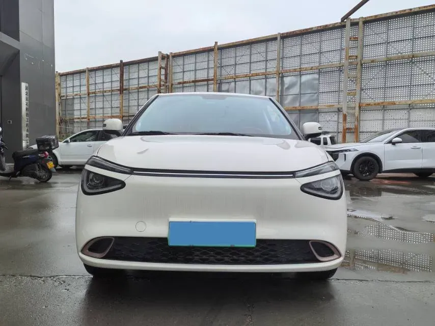2024 DongFeng eπ 01 BEV 31.45KWH,autocango,china used car exporter,china ev exporter,chinese used car exporter,chinese used ev exporter