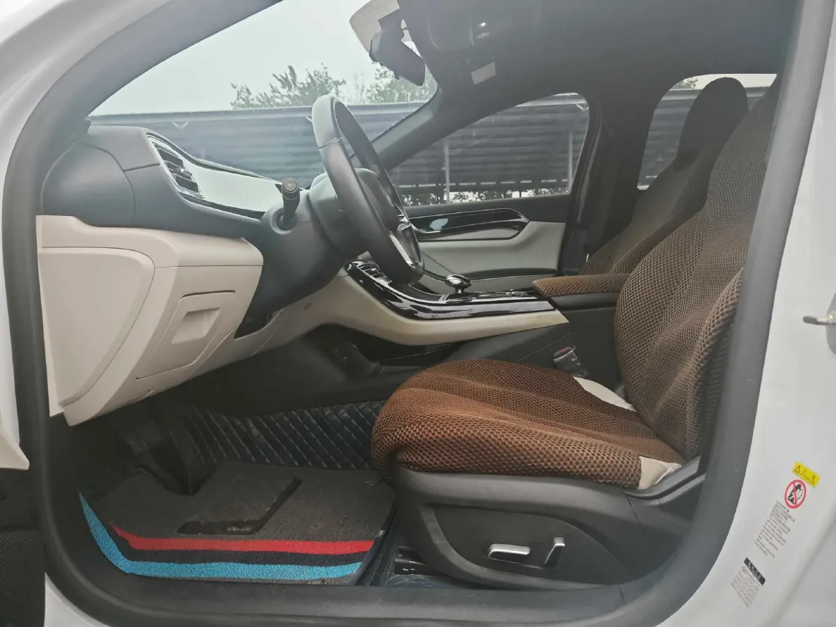 2021 DongFeng FuKang e Elysee BEV 30.7KWH,autocango,china used car exporter,china ev exporter,chinese used car exporter,chinese used ev exporter