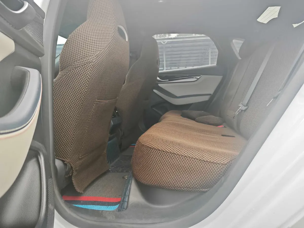 2021 DongFeng FuKang e Elysee BEV 30.7KWH,autocango,china used car exporter,china ev exporter,chinese used car exporter,chinese used ev exporter