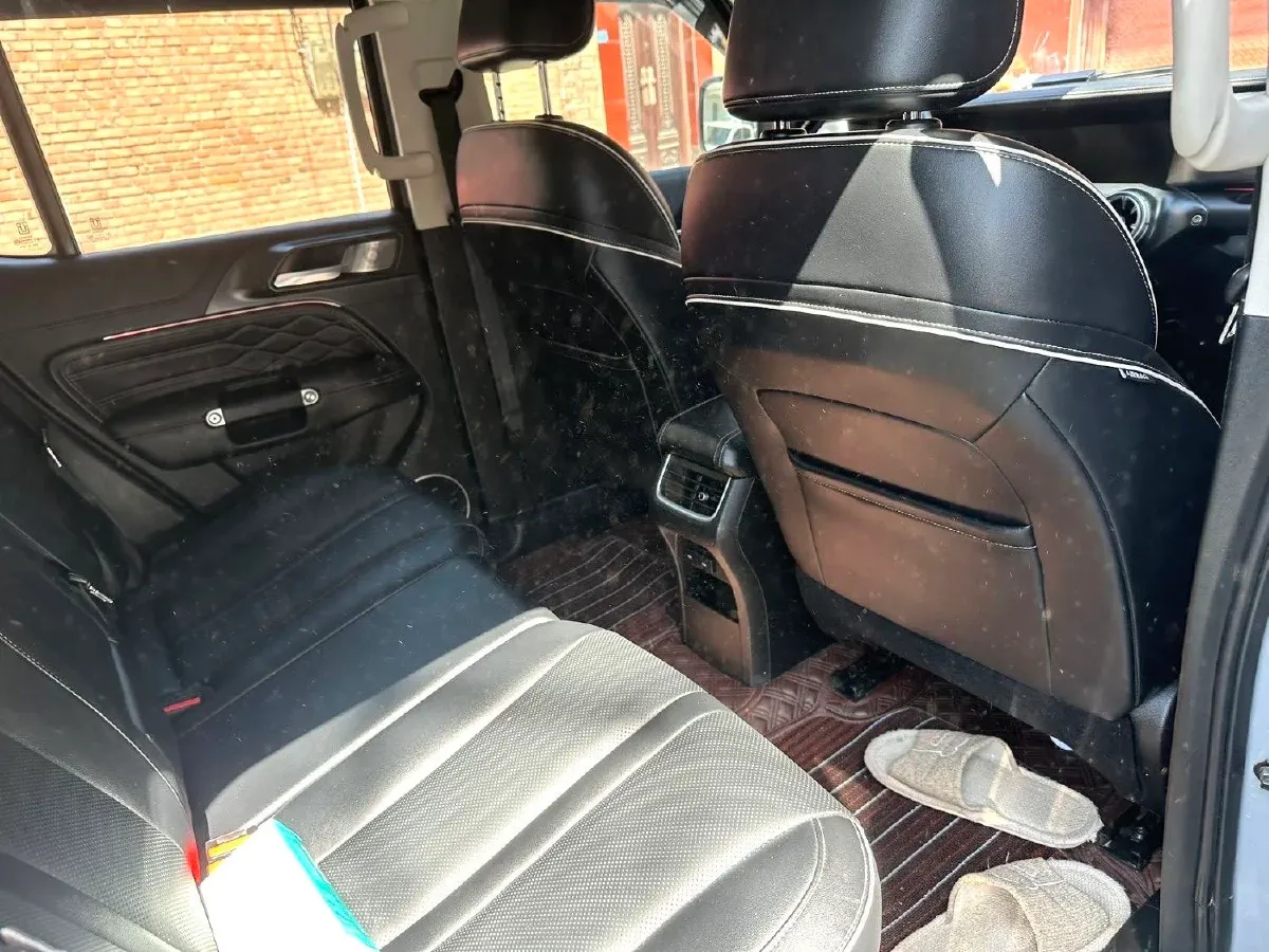 2021 Tank 300 2.0T 227HP L4 8AT,autocango,china used car exporter,china ev exporter,chinese used car exporter,chinese used ev exporter
