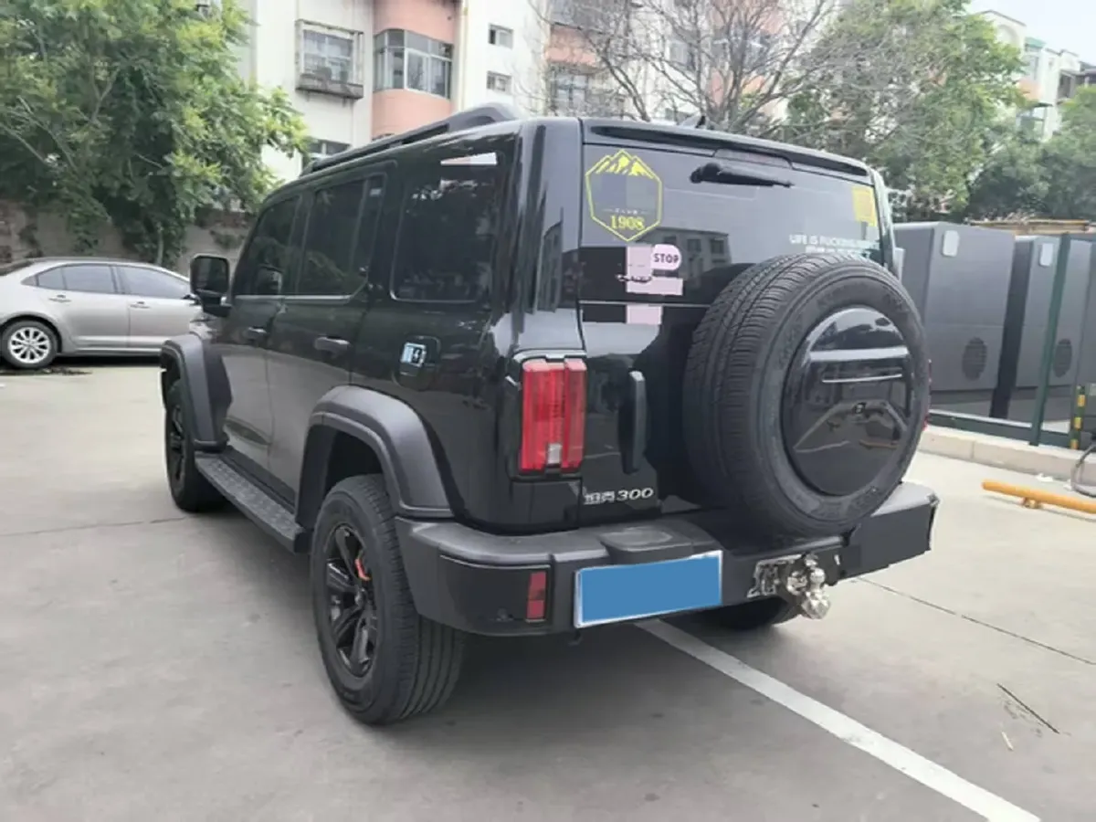 2024 Tank 300 2.0T 227HP L4 8AT,autocango,china used car exporter,china ev exporter,chinese used car exporter,chinese used ev exporter