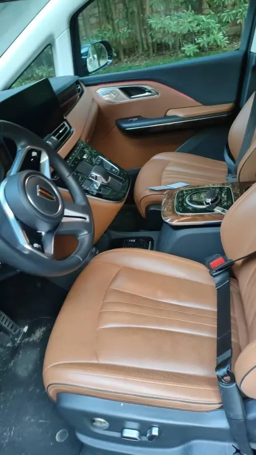 2023 HongQi HQ9 2.0T 252HP L4 8AT,autocango,china used car exporter,china ev exporter,chinese used car exporter,chinese used ev exporter