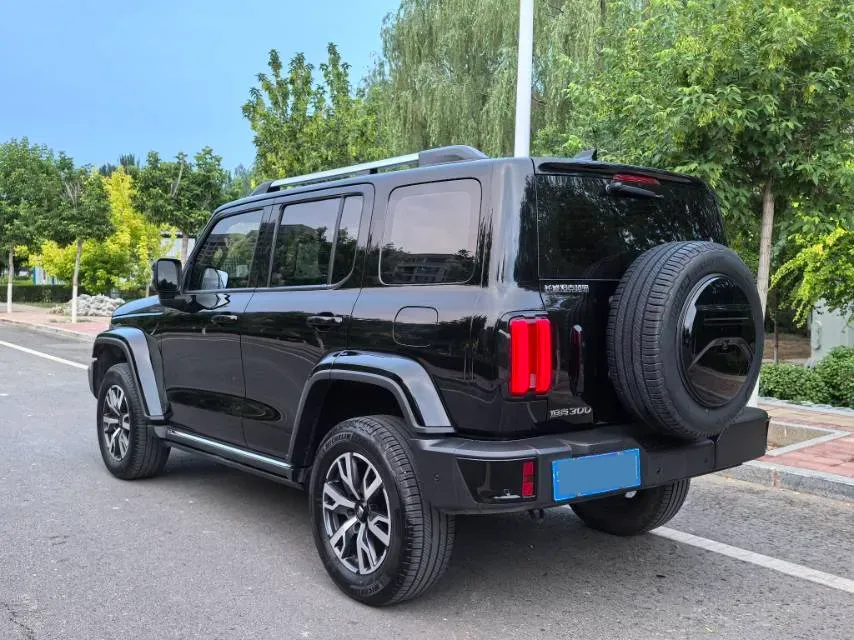 2023 Tank 300 2.0T 227HP L4 8AT,autocango,china used car exporter,china ev exporter,chinese used car exporter,chinese used ev exporter