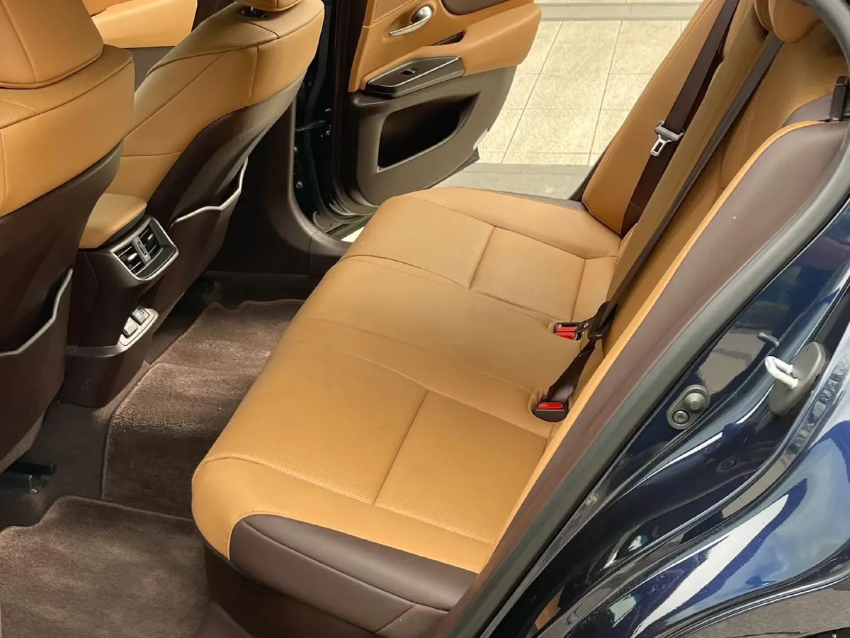 2020 Lexus ES 2.5L 178HP L4 E-CVT Hybrid,autocango,china used car exporter,china ev exporter,chinese used car exporter,chinese used ev exporter