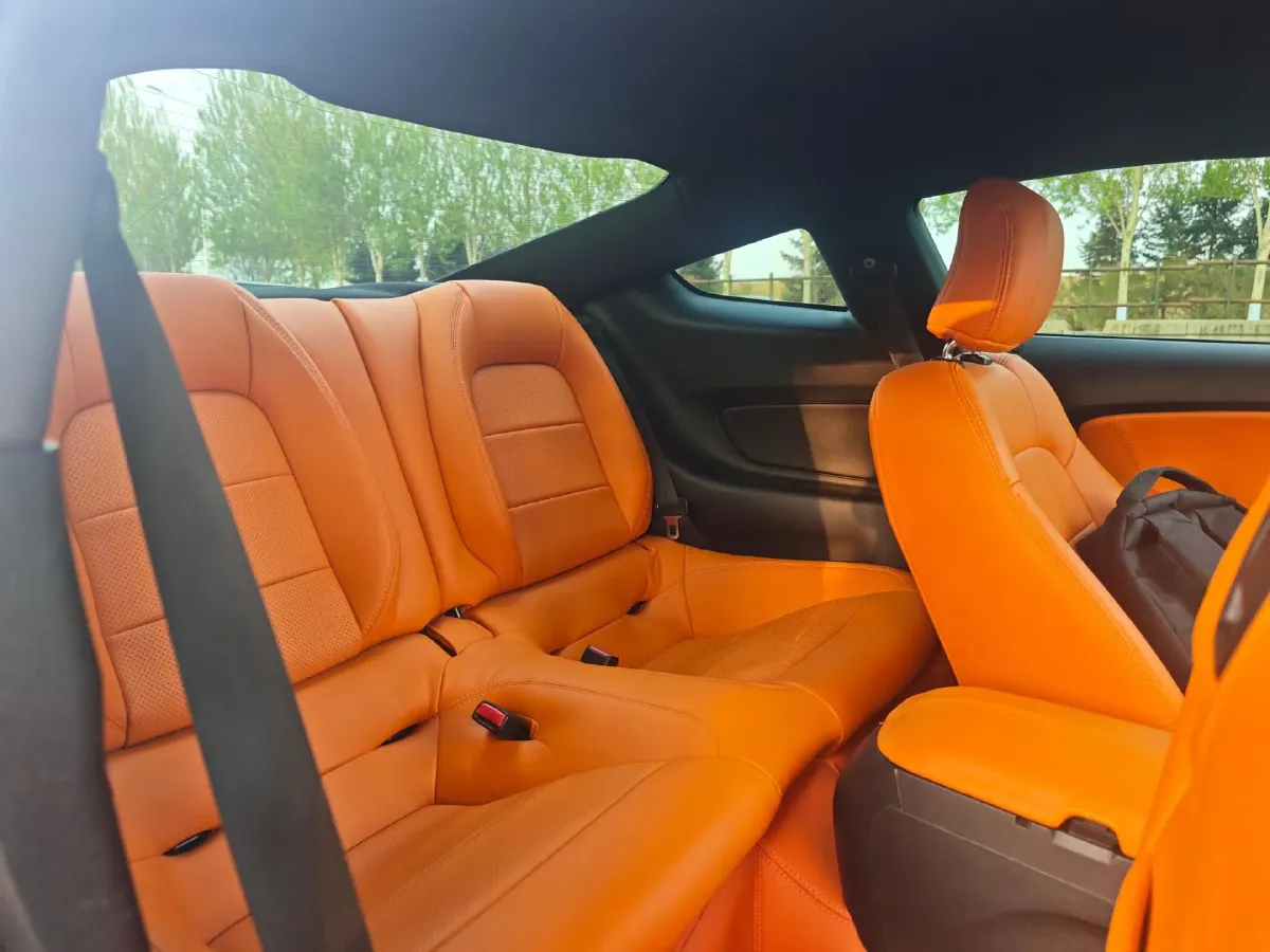 2017 Ford Mustang 2.3T 314HP L4 6AT,autocango,china used car exporter,china ev exporter,chinese used car exporter,chinese used ev exporter