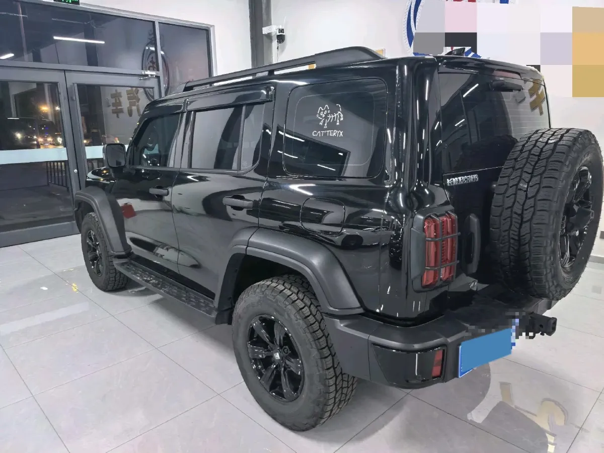 2024 Tank 300 2.0T 227HP L4 8AT,autocango,china used car exporter,china ev exporter,chinese used car exporter,chinese used ev exporter
