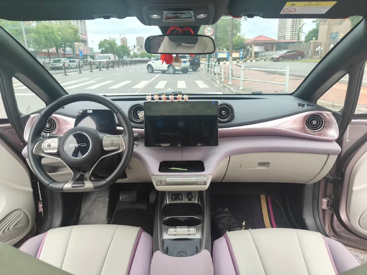 2021 BYD Yuan Pro BEV 50.1KWH,autocango,china used car exporter,china ev exporter,chinese used car exporter,chinese used ev exporter