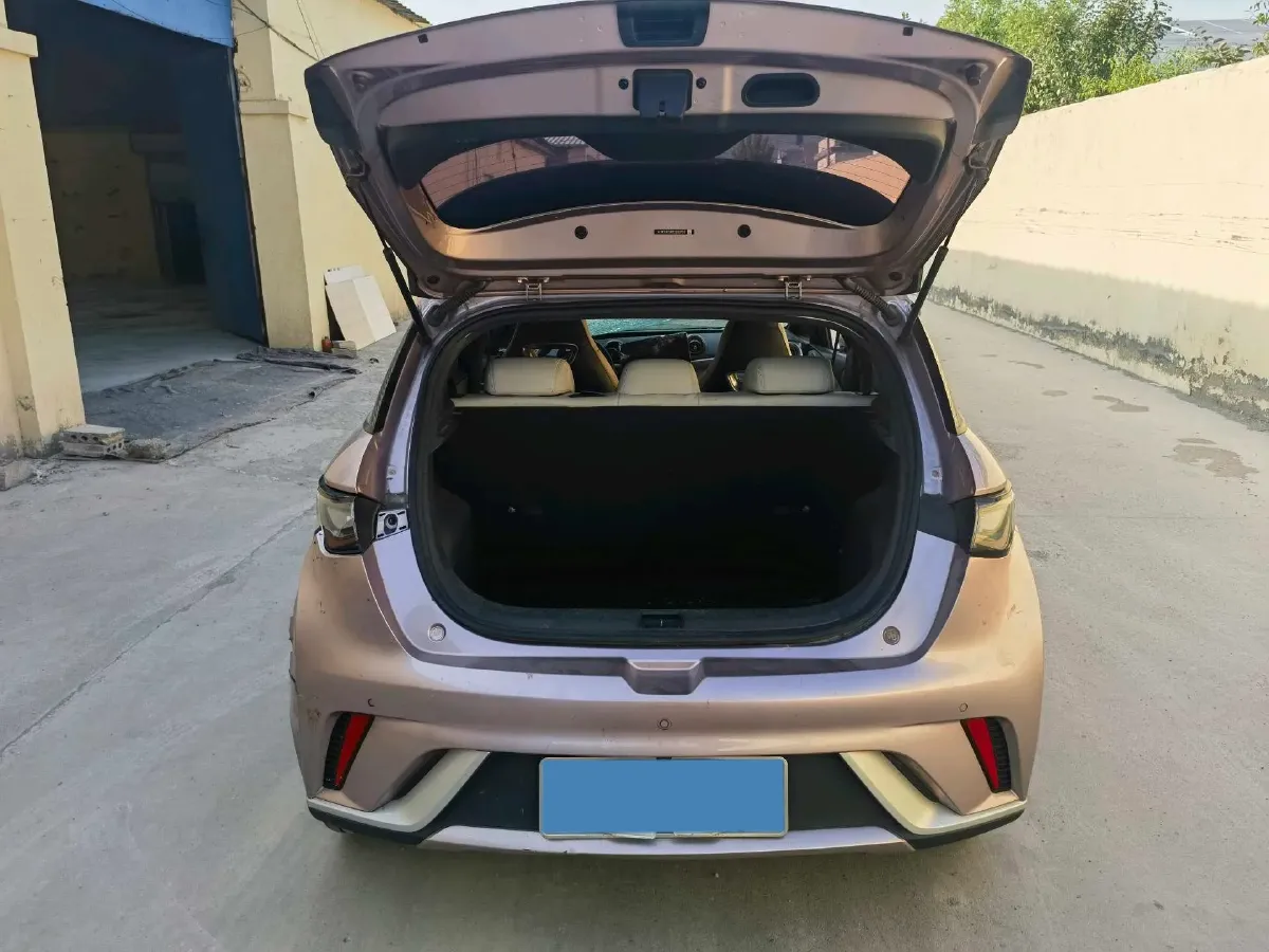 2023 BYD Dolphin BEV 44.928KWH,autocango,china used car exporter,china ev exporter,chinese used car exporter,chinese used ev exporter