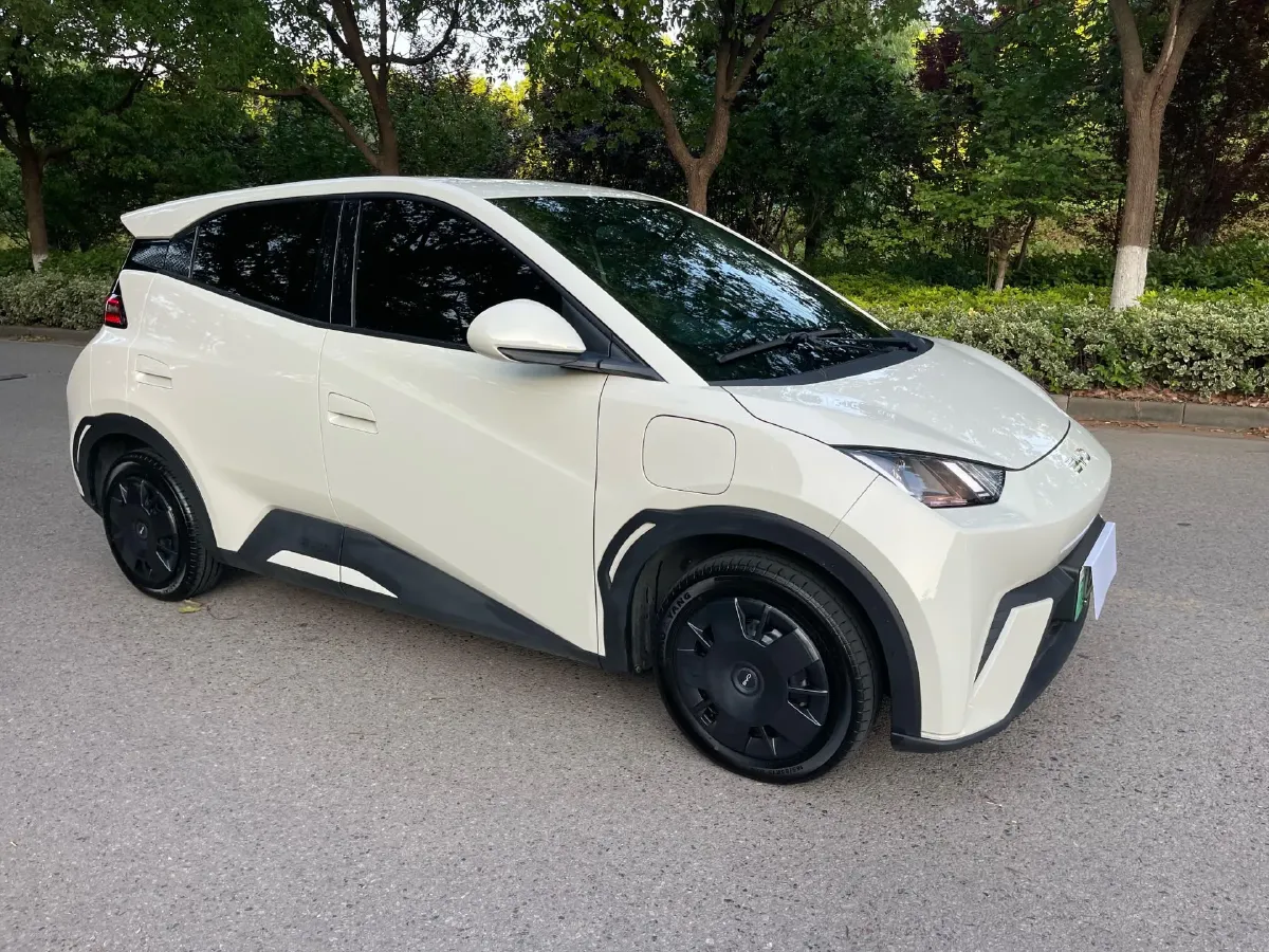 2025 BYD Seagull BEV 30.08KWH,autocango,china used car exporter,china ev exporter,chinese used car exporter,chinese used ev exporter