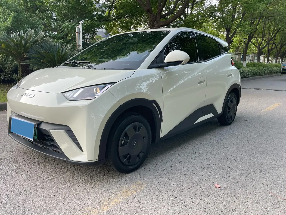 2025 BYD Seagull BEV 30.08KWH,autocango,china used car exporter,china ev exporter,chinese used car exporter,chinese used ev exporter