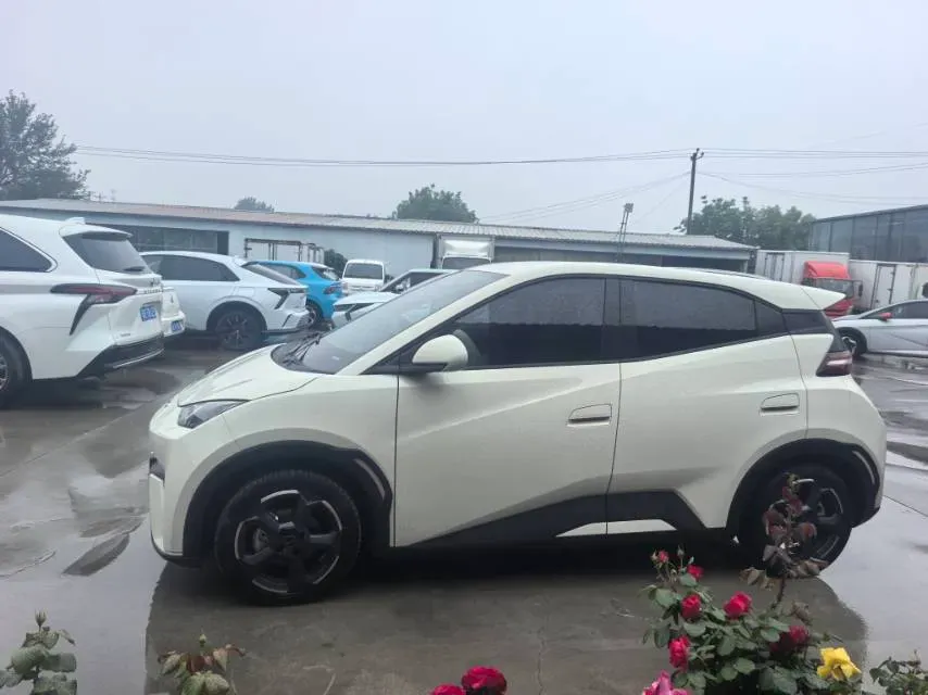 2023 BYD Seagull BEV 30.08KWH,autocango,china used car exporter,china ev exporter,chinese used car exporter,chinese used ev exporter