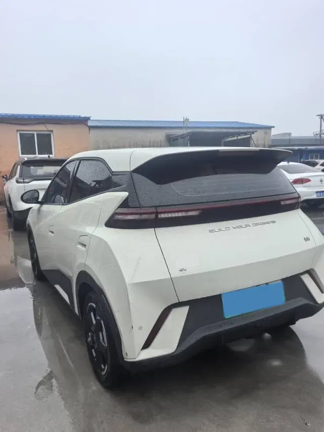 2023 BYD Seagull BEV 30.08KWH,autocango,china used car exporter,china ev exporter,chinese used car exporter,chinese used ev exporter