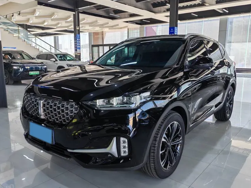 2021 WEY VV6 2.0T 227HP L4 7DCT,autocango,china used car exporter,china ev exporter,chinese used car exporter,chinese used ev exporter