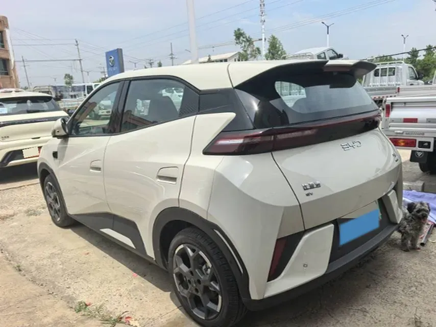 2025 BYD Seagull BEV 30.08KWH,autocango,china used car exporter,china ev exporter,chinese used car exporter,chinese used ev exporter