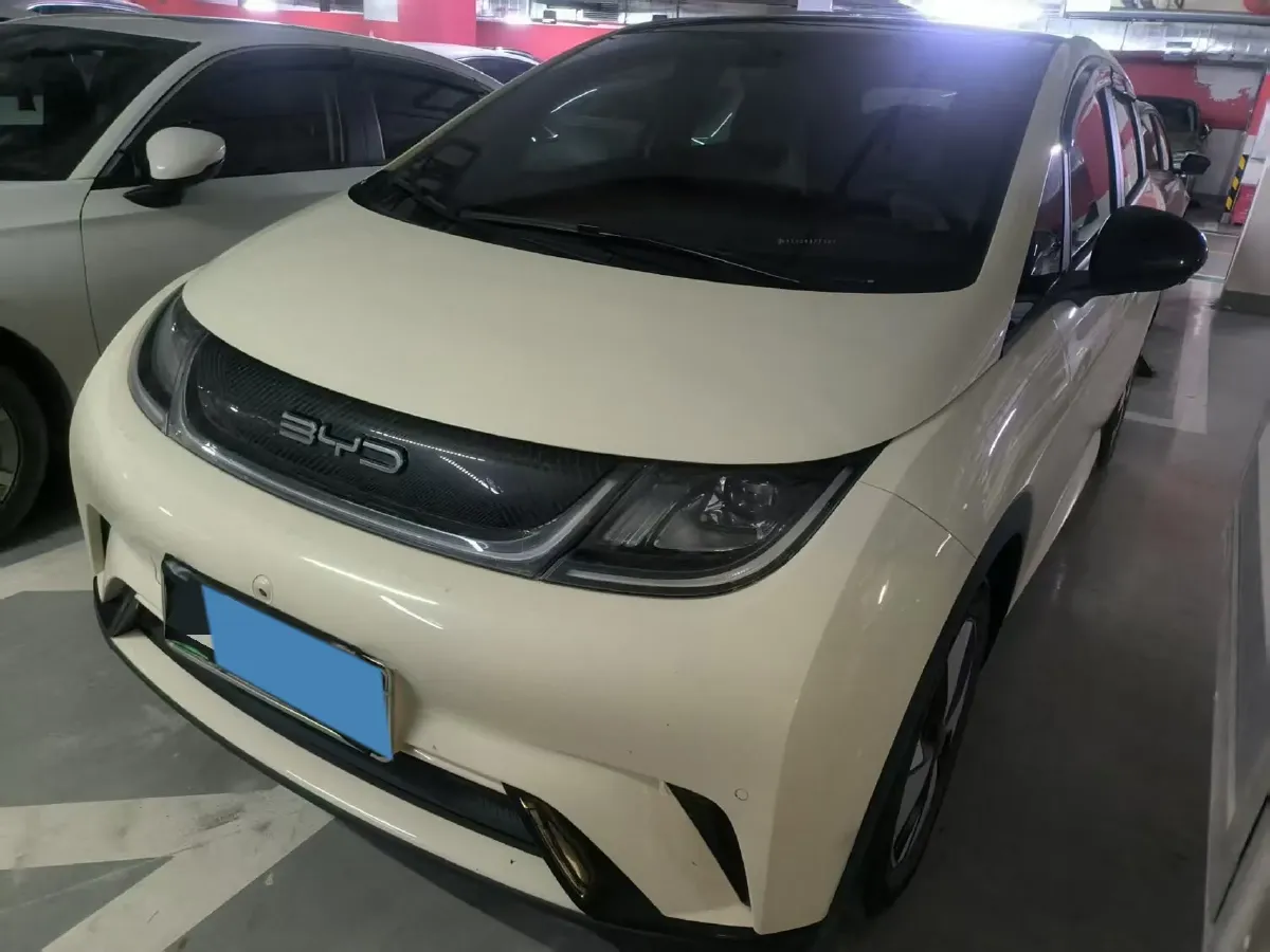 2023 BYD Dolphin BEV 44.928KWH,autocango,china used car exporter,china ev exporter,chinese used car exporter,chinese used ev exporter