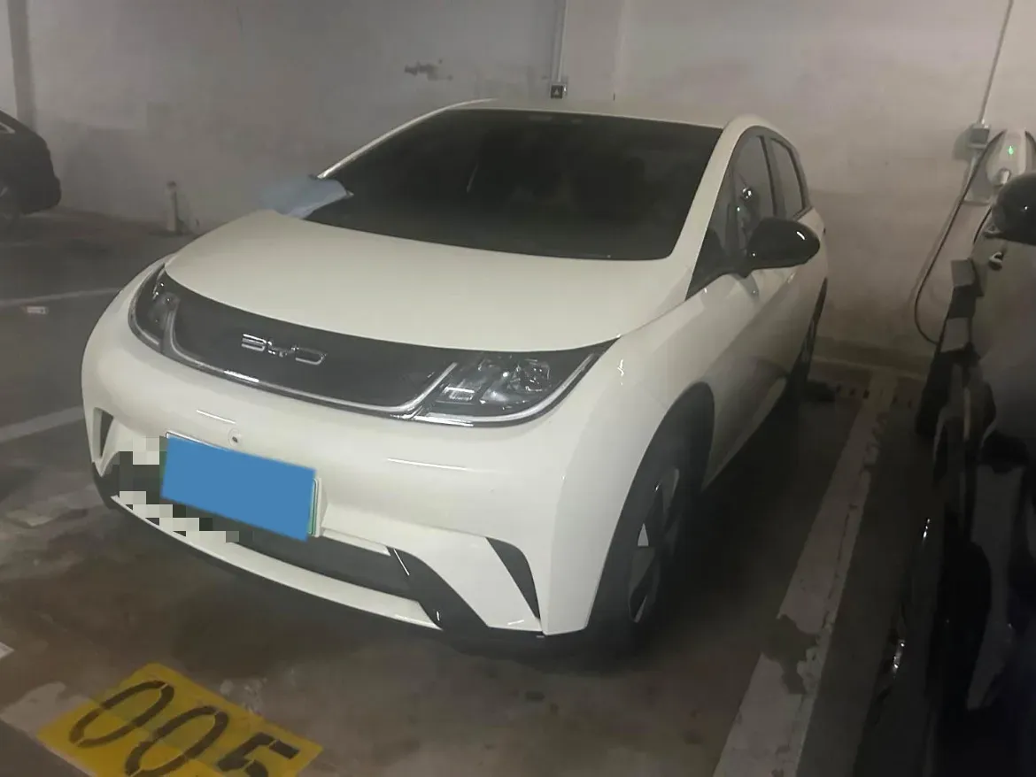 2023 BYD Dolphin BEV 44.928KWH,autocango,china used car exporter,china ev exporter,chinese used car exporter,chinese used ev exporter