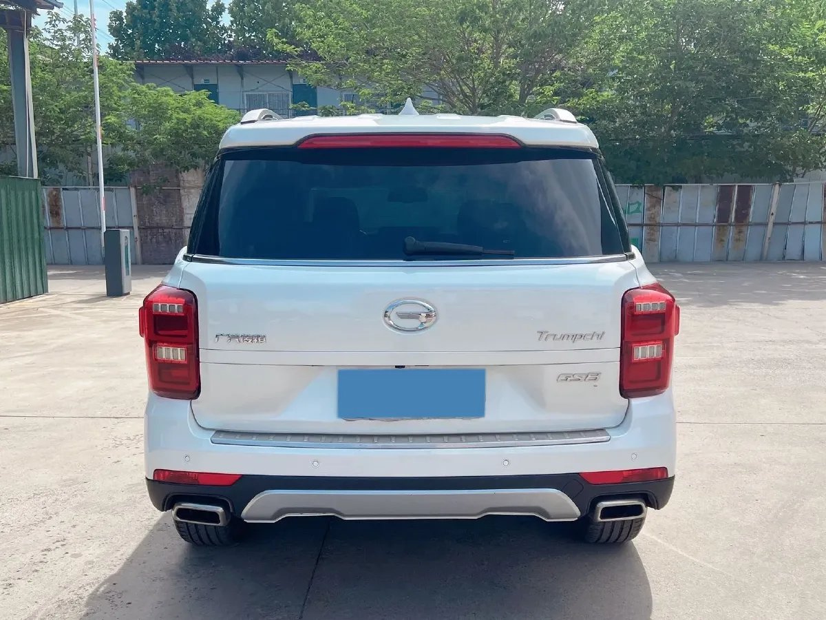 2019 GAC Trumpchi GS8 2.0T 252HP L4 6AT,autocango,china used car exporter,china ev exporter,chinese used car exporter,chinese used ev exporter