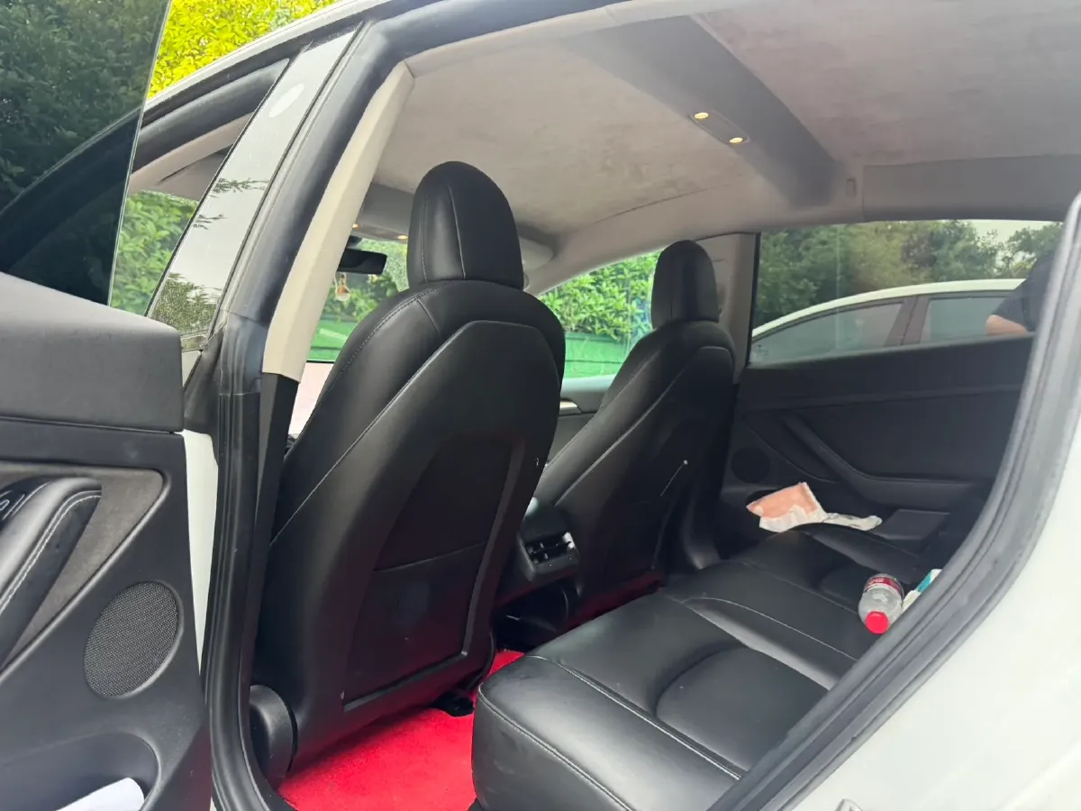 2021 Tesla Model 3 BEV 55KWH,autocango,china used car exporter,china ev exporter,chinese used car exporter,chinese used ev exporter