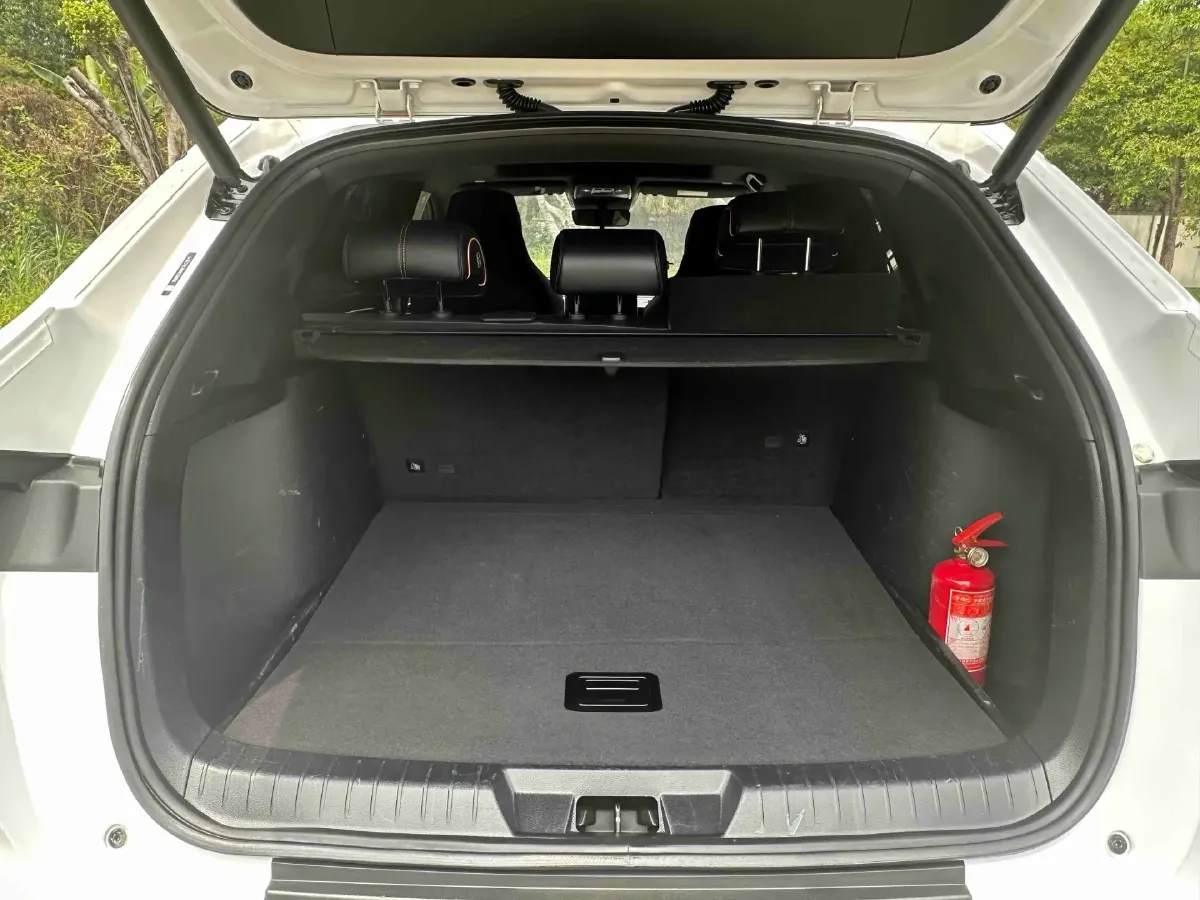 2021 SRM Sea Lion EV BEV 41.86KWH,autocango,china used car exporter,china ev exporter,chinese used car exporter,chinese used ev exporter