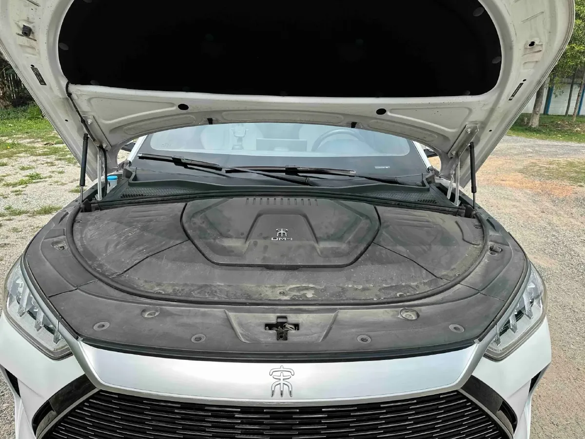 2021 SRM Sea Lion EV BEV 41.86KWH,autocango,china used car exporter,china ev exporter,chinese used car exporter,chinese used ev exporter