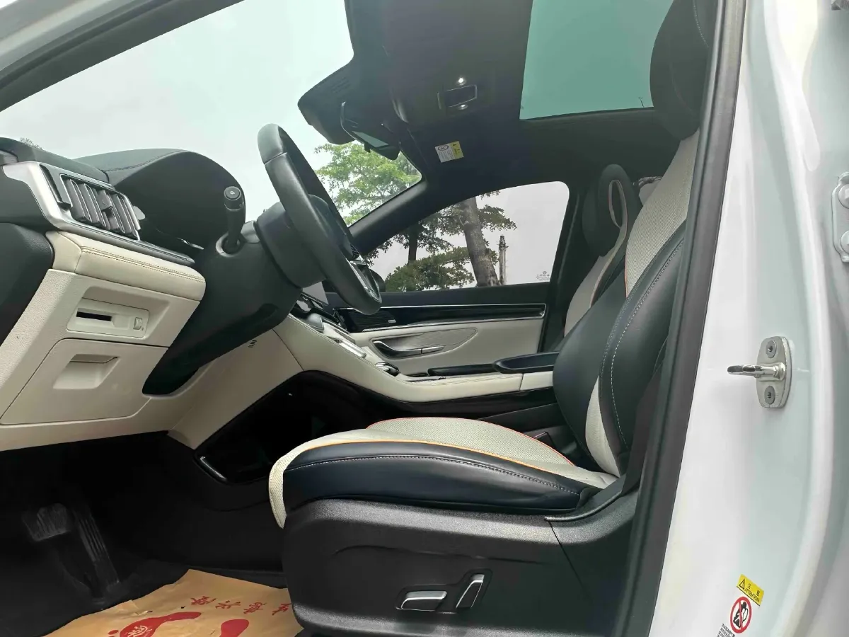 2021 SRM Sea Lion EV BEV 41.86KWH,autocango,china used car exporter,china ev exporter,chinese used car exporter,chinese used ev exporter