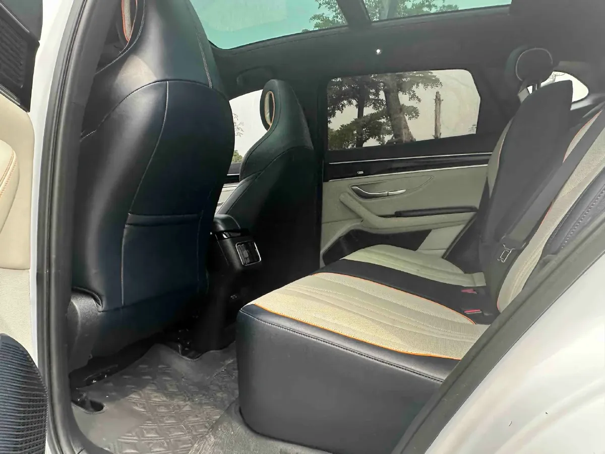 2021 SRM Sea Lion EV BEV 41.86KWH,autocango,china used car exporter,china ev exporter,chinese used car exporter,chinese used ev exporter