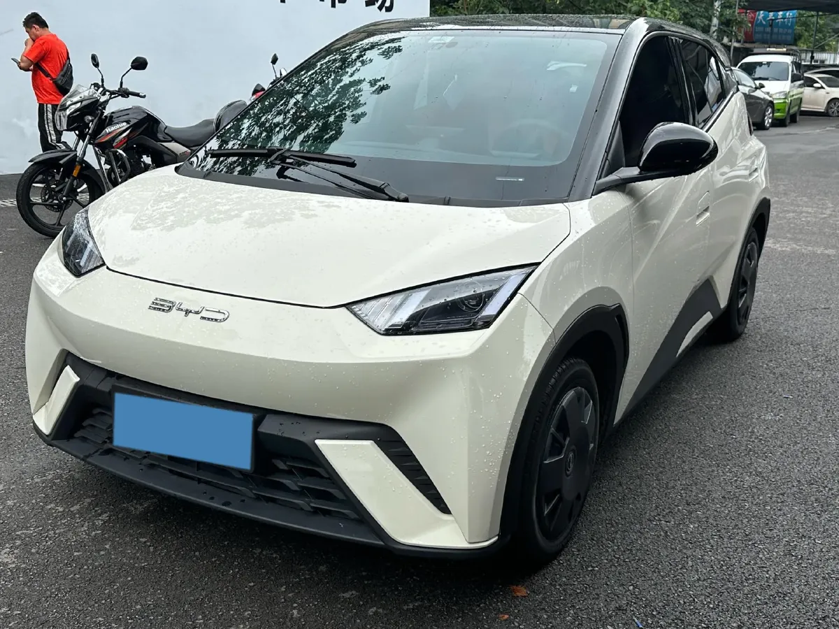 2023 BYD Seagull BEV 30.08KWH,autocango,china used car exporter,china ev exporter,chinese used car exporter,chinese used ev exporter