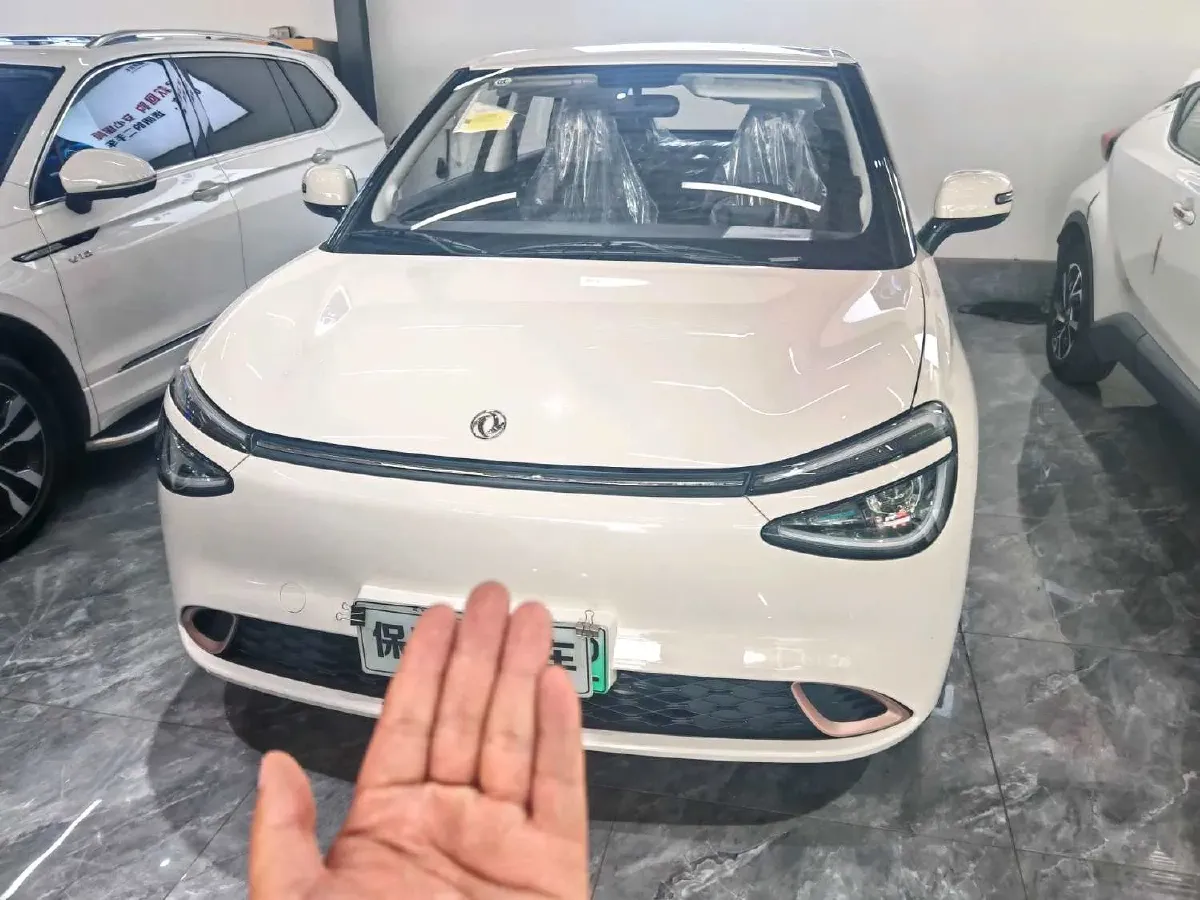 2025 DongFeng Nammi 01 BEV,autocango,china used car exporter,china ev exporter,chinese used car exporter,chinese used ev exporter