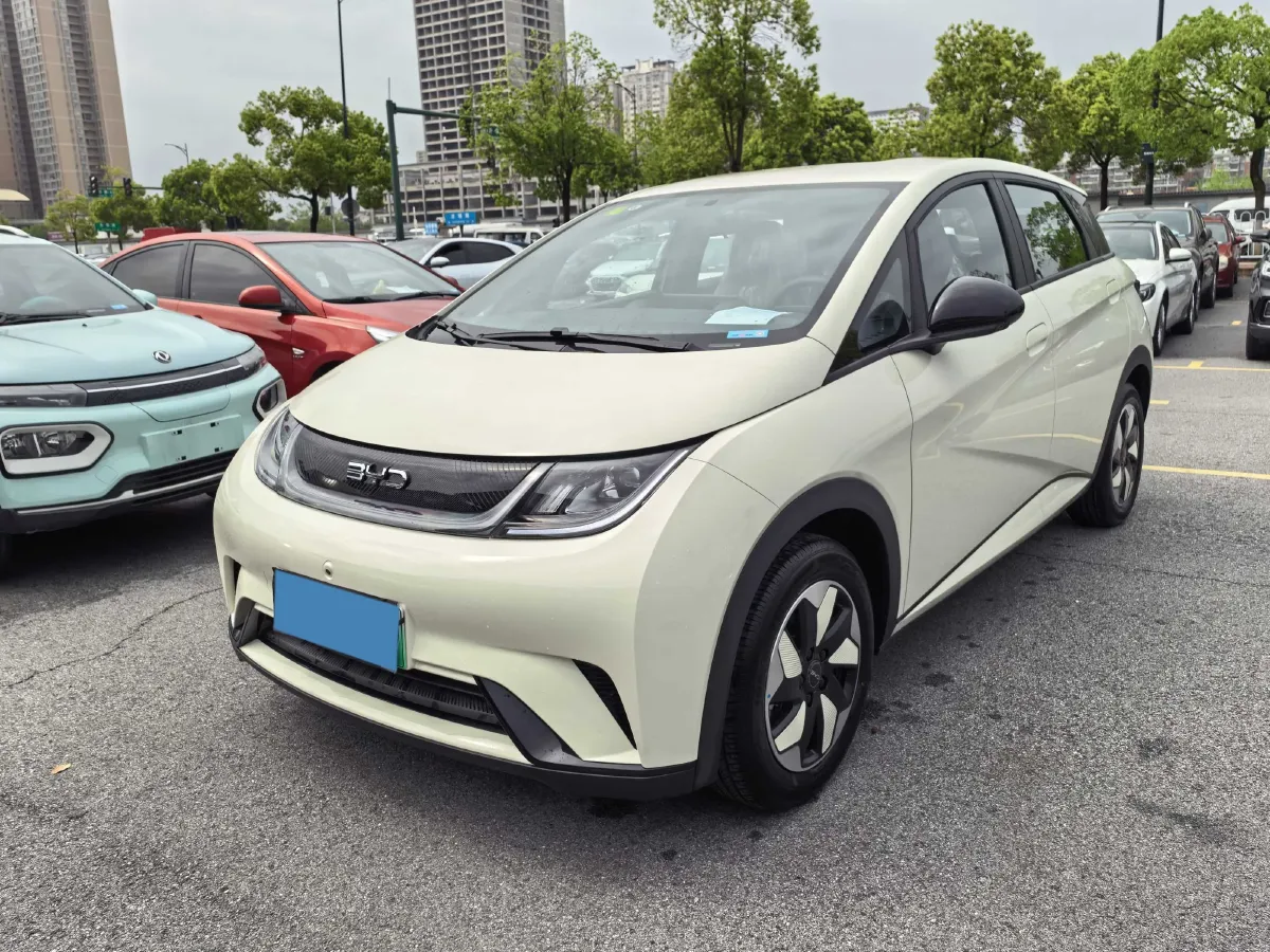 2025 BYD Dolphin BEV 44.928KWH,autocango,china used car exporter,china ev exporter,chinese used car exporter,chinese used ev exporter
