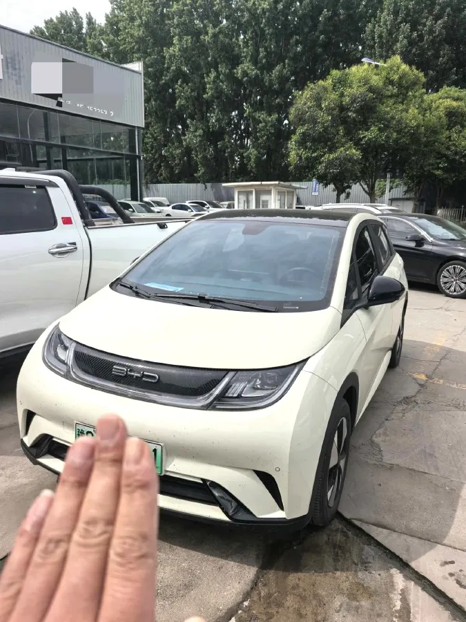 2023 BYD Dolphin BEV 44.928KWH,autocango,china used car exporter,china ev exporter,chinese used car exporter,chinese used ev exporter