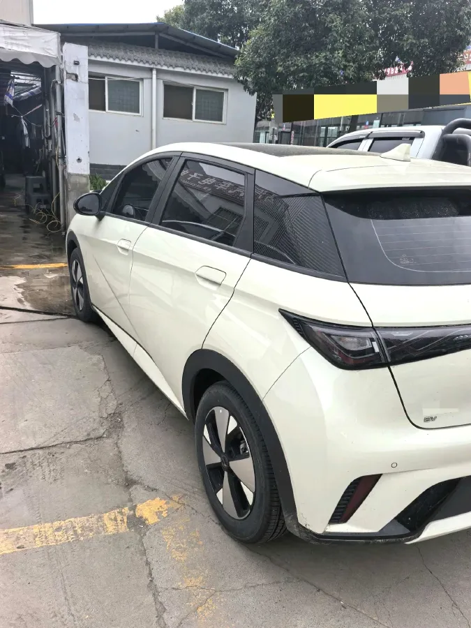2023 BYD Dolphin BEV 44.928KWH,autocango,china used car exporter,china ev exporter,chinese used car exporter,chinese used ev exporter