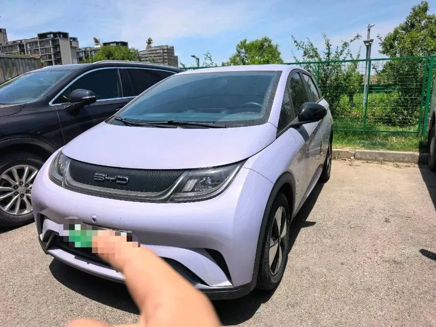 2023 BYD Dolphin BEV 44.928KWH,autocango,china used car exporter,china ev exporter,chinese used car exporter,chinese used ev exporter