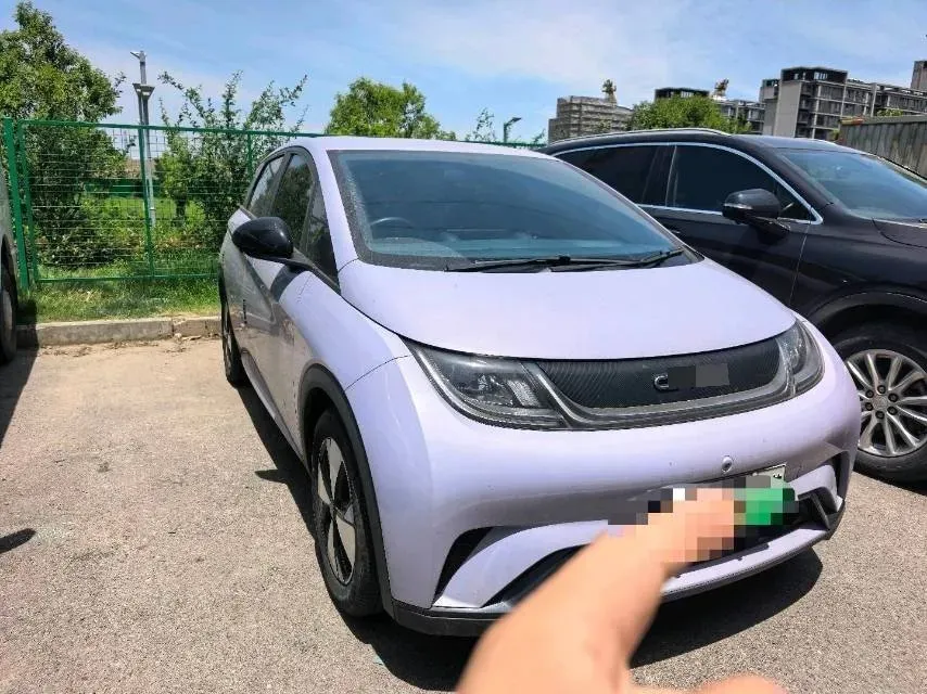 2023 BYD Dolphin BEV 44.928KWH,autocango,china used car exporter,china ev exporter,chinese used car exporter,chinese used ev exporter