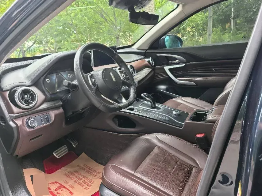 2019 WEY VV7 2.0T 234HP L4 7DCT,autocango,china used car exporter,china ev exporter,chinese used car exporter,chinese used ev exporter