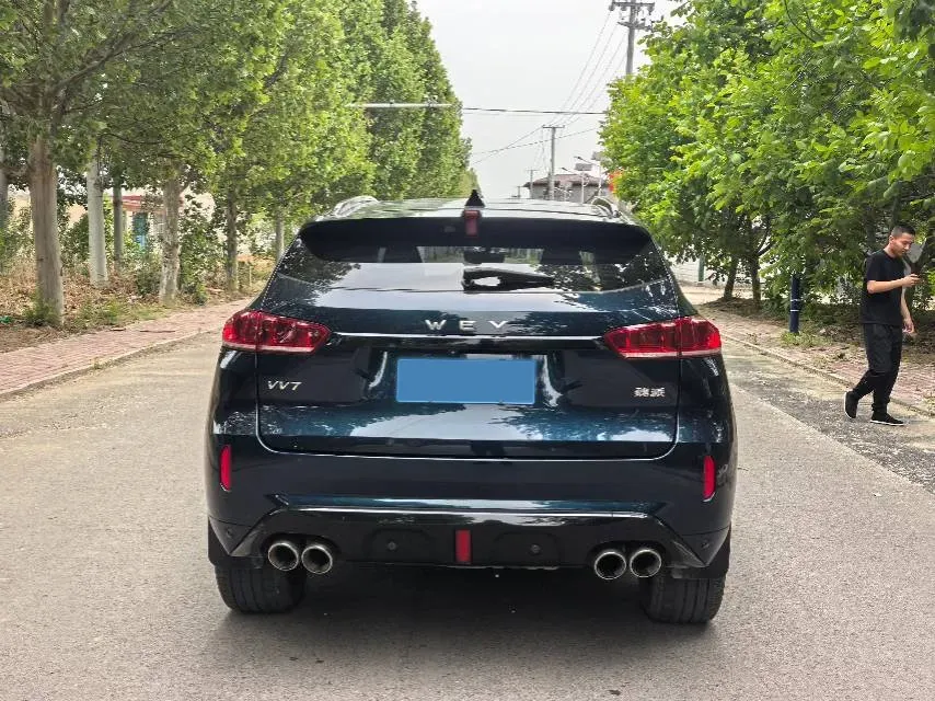 2019 WEY VV7 2.0T 234HP L4 7DCT,autocango,china used car exporter,china ev exporter,chinese used car exporter,chinese used ev exporter