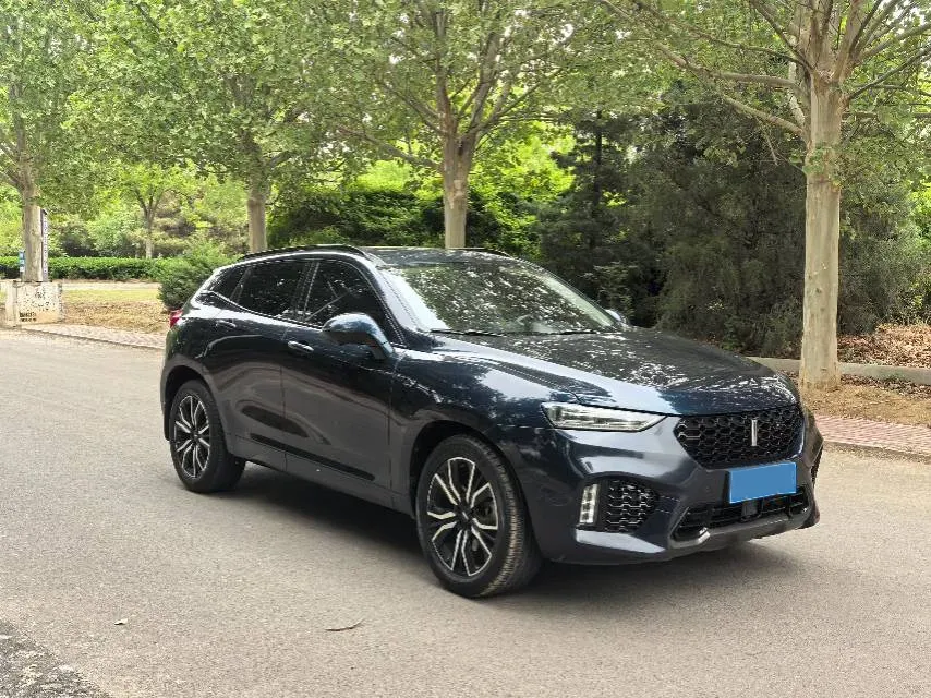 2019 WEY VV7 2.0T 234HP L4 7DCT,autocango,china used car exporter,china ev exporter,chinese used car exporter,chinese used ev exporter