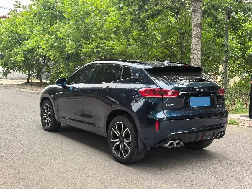 2019 WEY VV7 2.0T 234HP L4 7DCT,autocango,china used car exporter,china ev exporter,chinese used car exporter,chinese used ev exporter