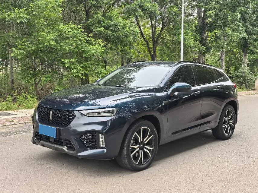 2019 WEY VV7 2.0T 234HP L4 7DCT,autocango,china used car exporter,china ev exporter,chinese used car exporter,chinese used ev exporter