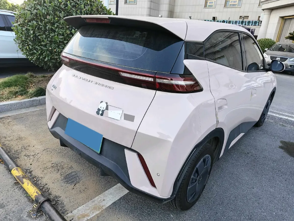 2024 BYD Seagull BEV 30.08KWH,autocango,china used car exporter,china ev exporter,chinese used car exporter,chinese used ev exporter