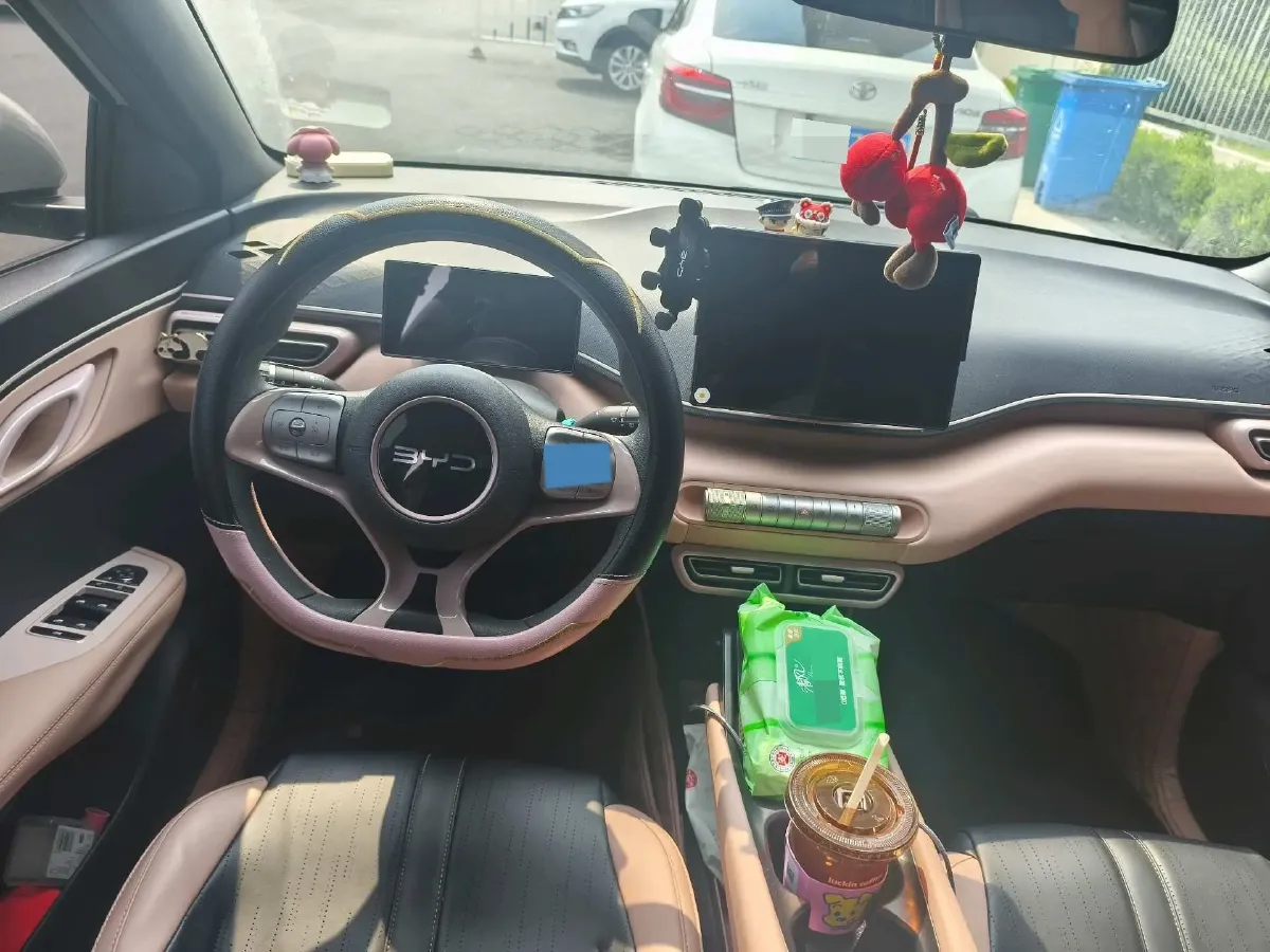 2025 BYD Seagull BEV 30.08KWH,autocango,china used car exporter,china ev exporter,chinese used car exporter,chinese used ev exporter