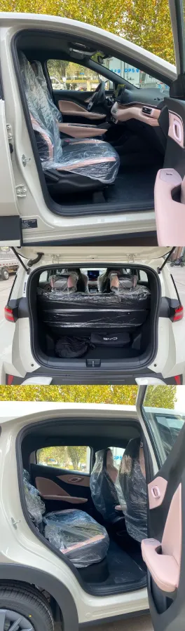 2025 BYD Seagull BEV 30.08KWH,autocango,china used car exporter,china ev exporter,chinese used car exporter,chinese used ev exporter