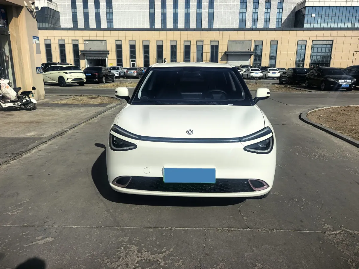 2024 DongFeng eπ 01 BEV 31.45KWH,autocango,china used car exporter,china ev exporter,chinese used car exporter,chinese used ev exporter