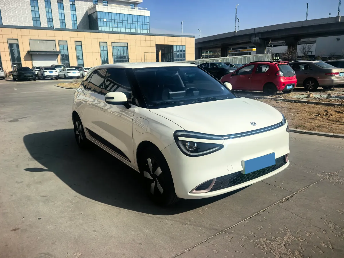 2024 DongFeng eπ 01 BEV 31.45KWH,autocango,china used car exporter,china ev exporter,chinese used car exporter,chinese used ev exporter