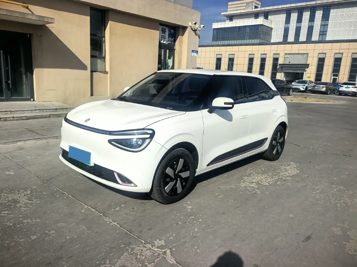 2024 DongFeng eπ 01 BEV 31.45KWH,autocango,china used car exporter,china ev exporter,chinese used car exporter,chinese used ev exporter